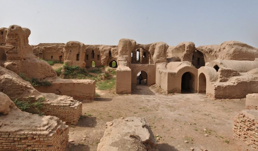 Katta xorozlar bilan jinsiy aloqa video